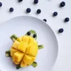 Mangoturtle