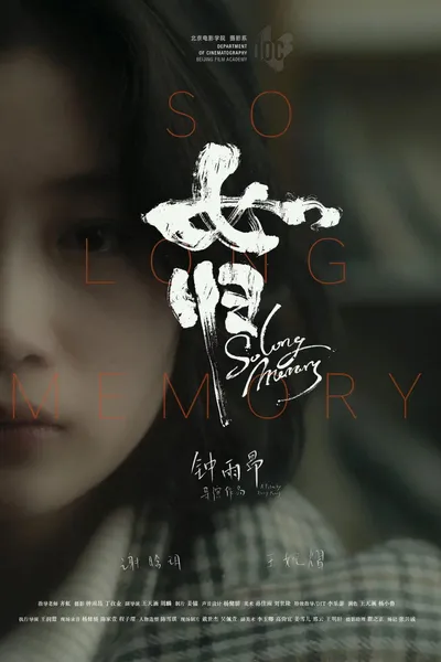 So Long Memory