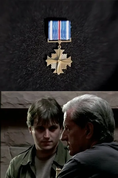 Distinguished Flying Cross