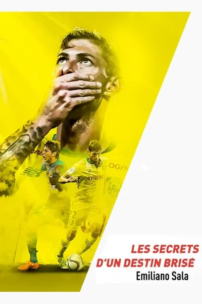 Emiliano Sala, les secrets d'un destin brisé