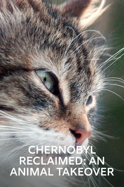 Chernobyl Reclaimed: An Animal Takeover