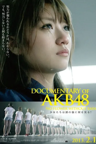 Documentary of AKB48 No Flower Without Rain