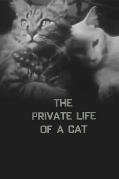 The Private Life of a Cat