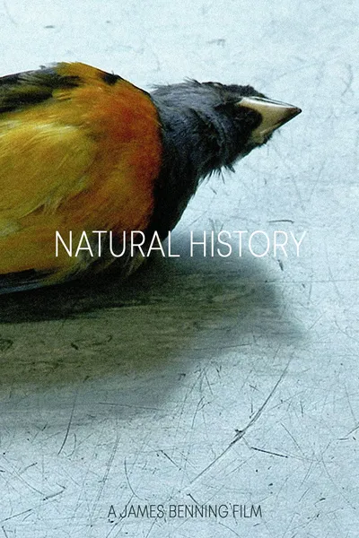 Natural History