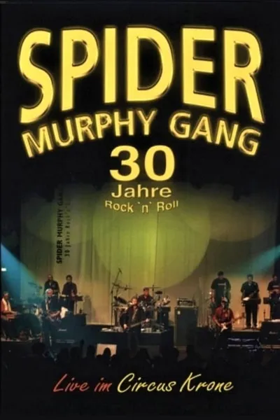 Spider Murphy Gang - 30 Jahre Rock'n'Roll