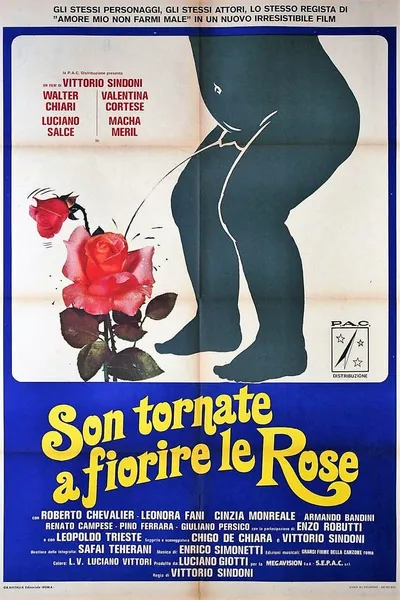 Son tornate a fiorire le rose