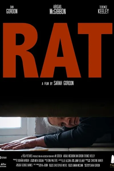 Rat