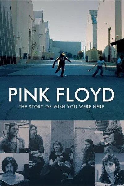 Pink Floyd : The Story of Wish You Were Here