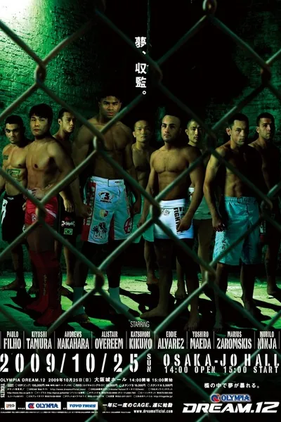 DREAM 12