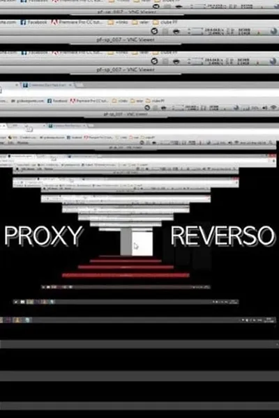 Reverse proxy