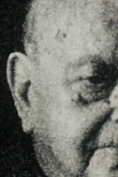 Everbest Virgil