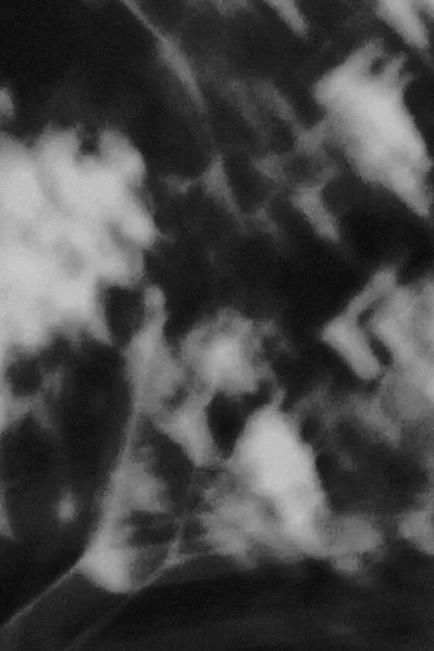 Portions of Light, A Section