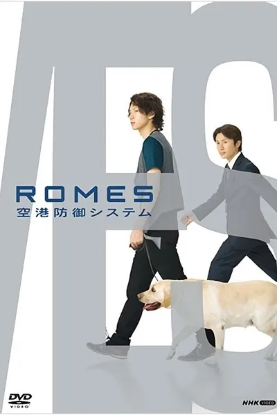 ROMES 空港防御システム