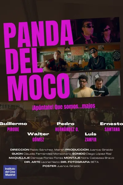 Panda del Moco