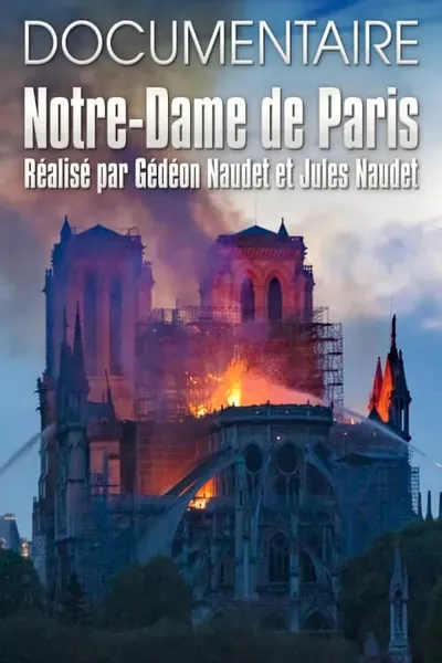 Notre-Dame de Paris des Frères Naudet