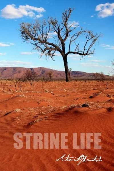 Strine Life