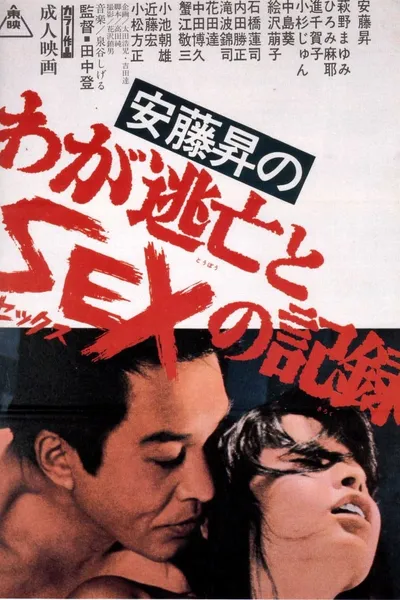 Noboru Ando's Chronicle of Fugitive Days and Sex