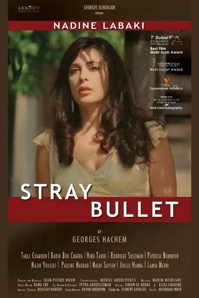 Stray Bullet