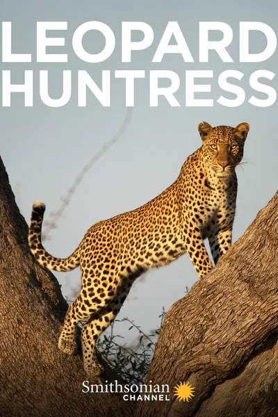 Leopard Huntress