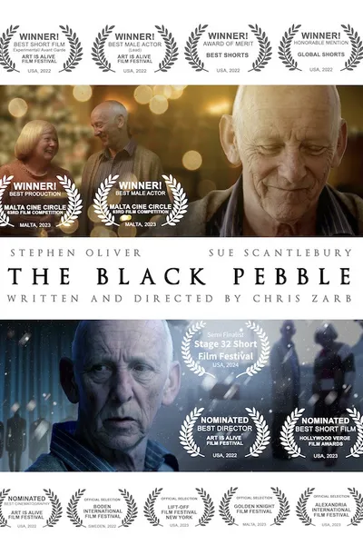 The Black Pebble