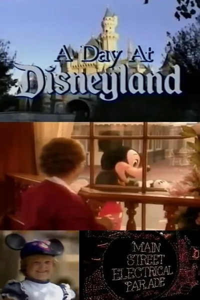 A Day at Disneyland