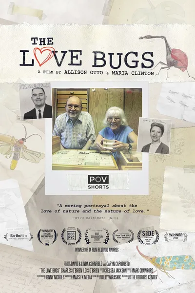 The Love Bugs