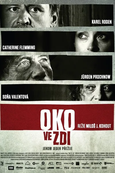 Oko ve zdi