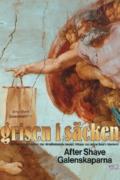 Grisen i säcken