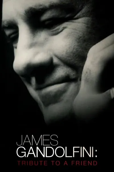 James Gandolfini: Tribute to a Friend