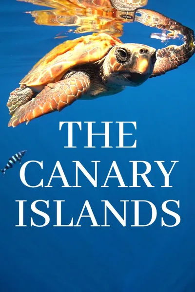 The Canary Islands