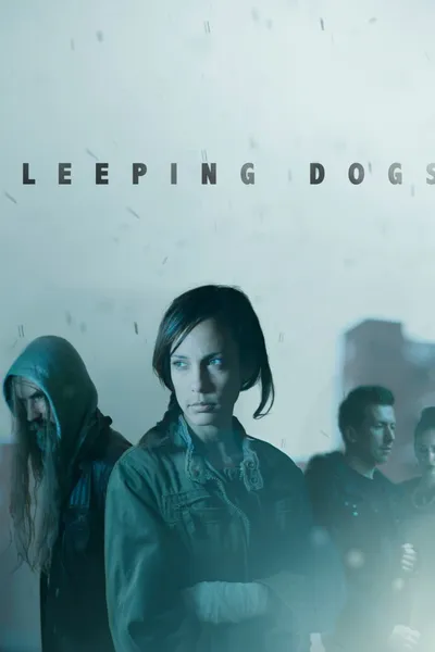 Sleeping Dogs