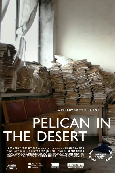 Pelican in the Desert