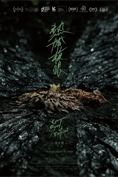 Compound Eyes of Tropical