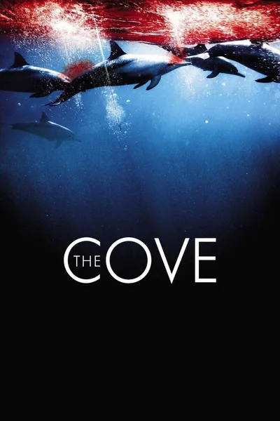 The Cove