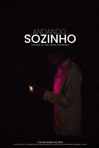 Caminhando Sozinho