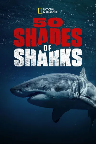 50 Shades of Sharks