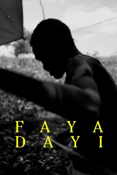 Faya Dayi