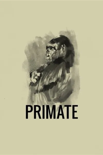 Primate