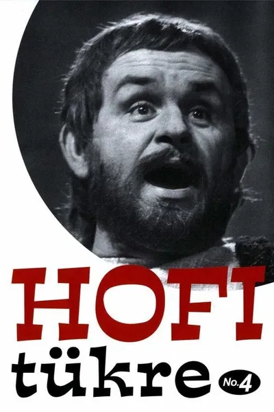 Hofi tükre No.4