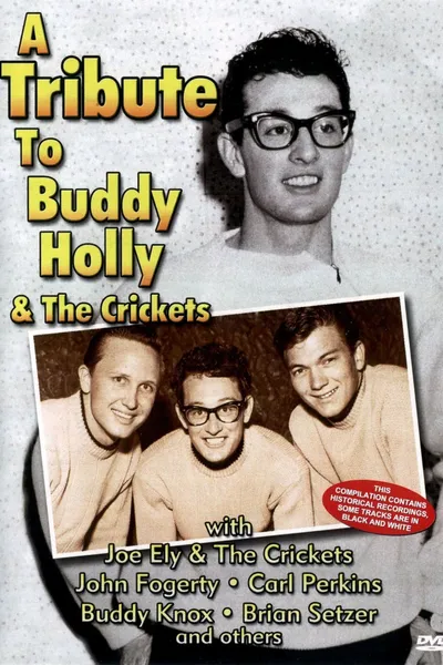 A Tribute To Buddy Holly And The Crickets