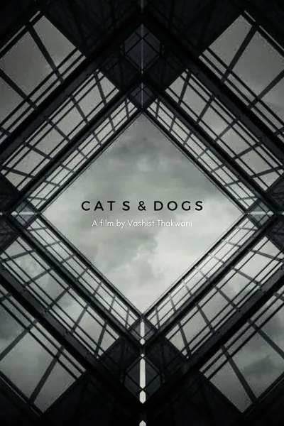 Cats & Dogs