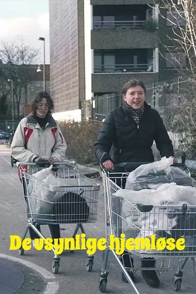 De usynlige hjemløse