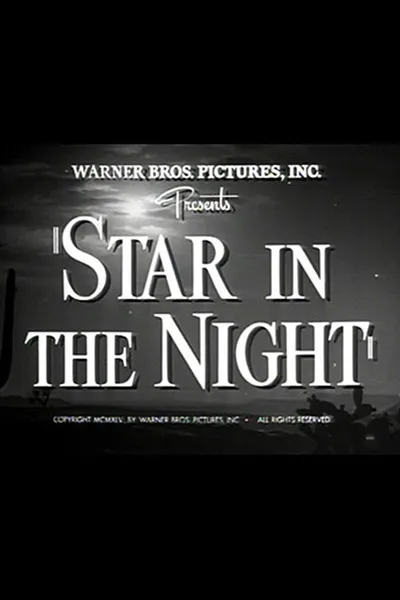 Star in the Night