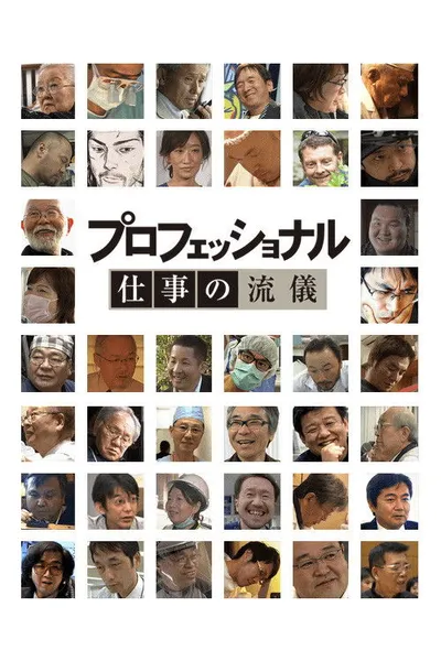 Professional: Shigoto no ryûgi