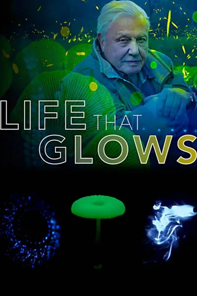 Attenborough's Life That Glows