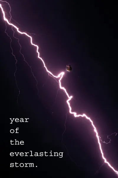 The Year of the Everlasting Storm