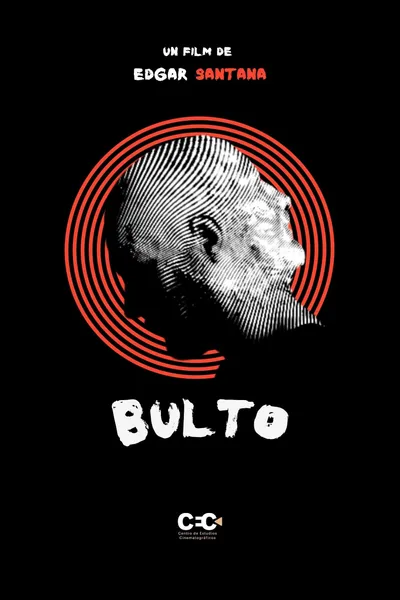 Bulto