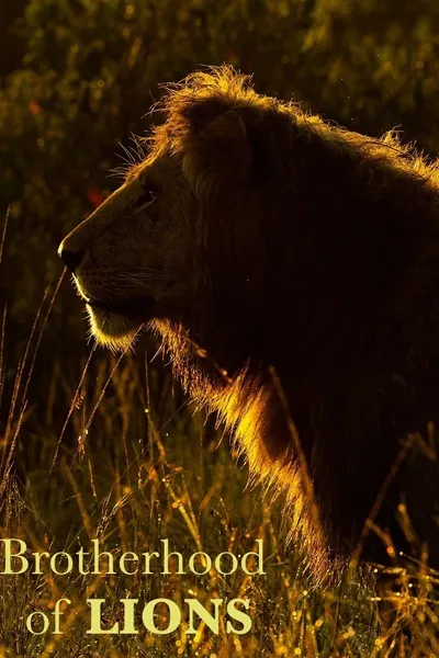 Brotherhood of Lions