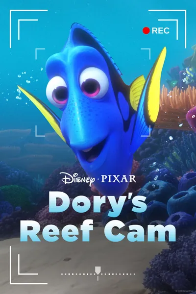 Dory's Reef Cam