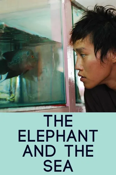 The Elephant and the Sea